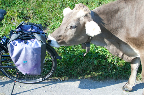 freundliche Neugierde