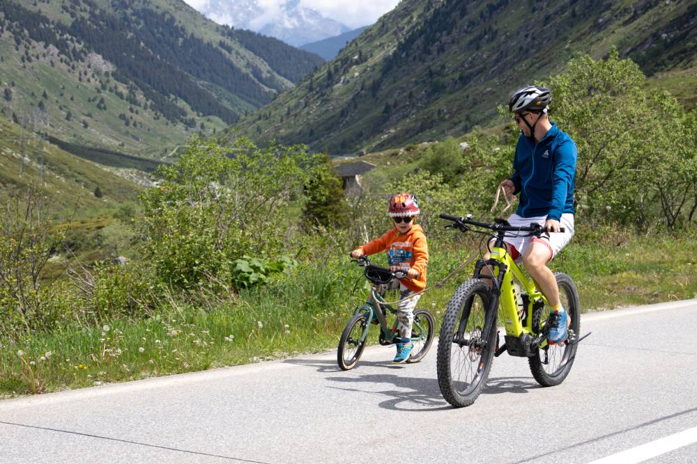 Pro Velo Graubünden